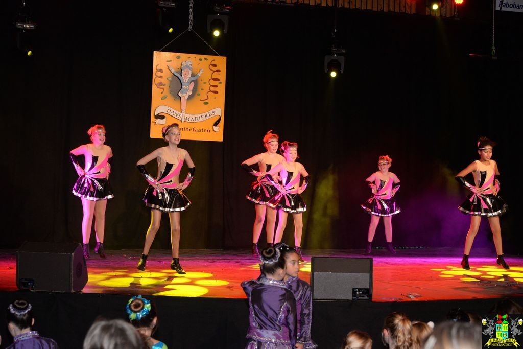 ../Images/Dansmarieke festival 2018 151.jpg